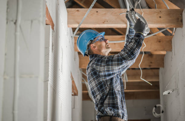 Best Home Electrical Repair  in Rogersville, MO